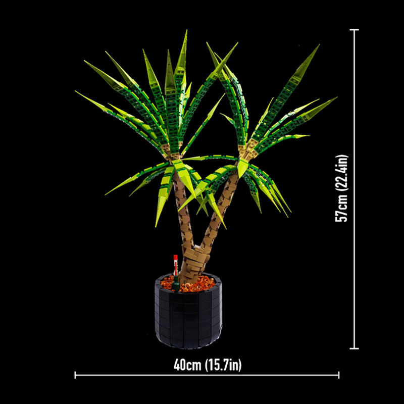 Dracaena Marginata - 1961피스 MOC 드라세나 마르미나타 드래곤 트리