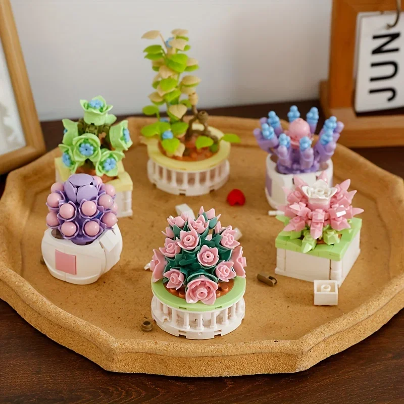 Echeveria Succulent - 블록 시티 DIY 화분 식물 다육
