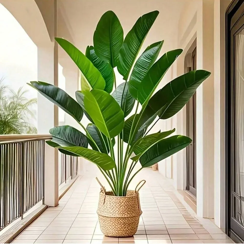 Dracaena Marginata - 1개 18잎 인조 식물 대형 열대
