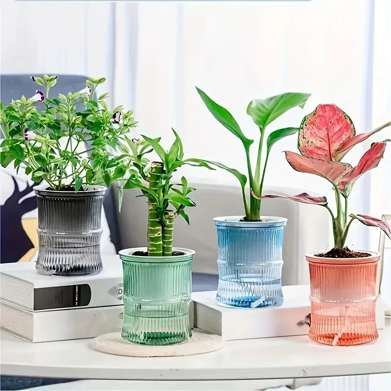 Aloe Vera Pot - 투명 이중 레이어 자동 급수 화분,