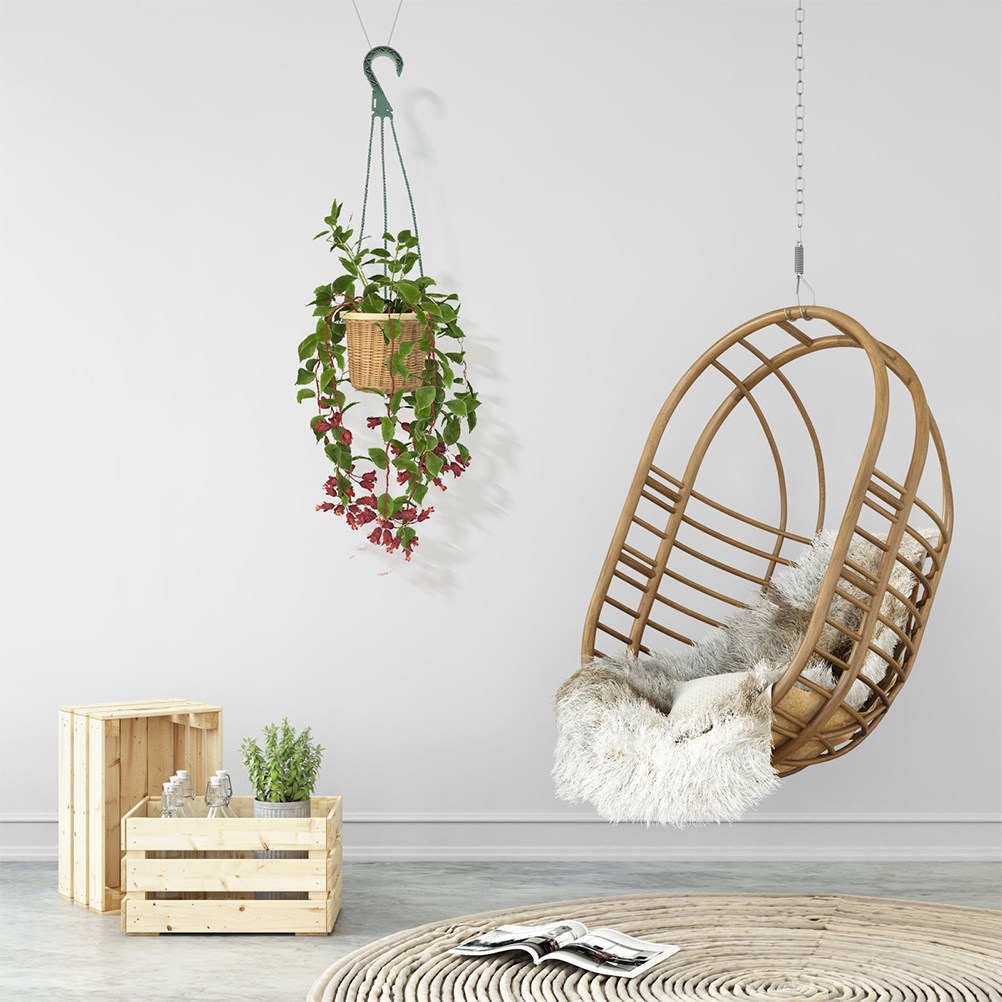 5개 세트 모던 미니멀리스트 행잉 플랜터 훅 세트 공간 - Spider Plant Hanging 리뷰 및 가격