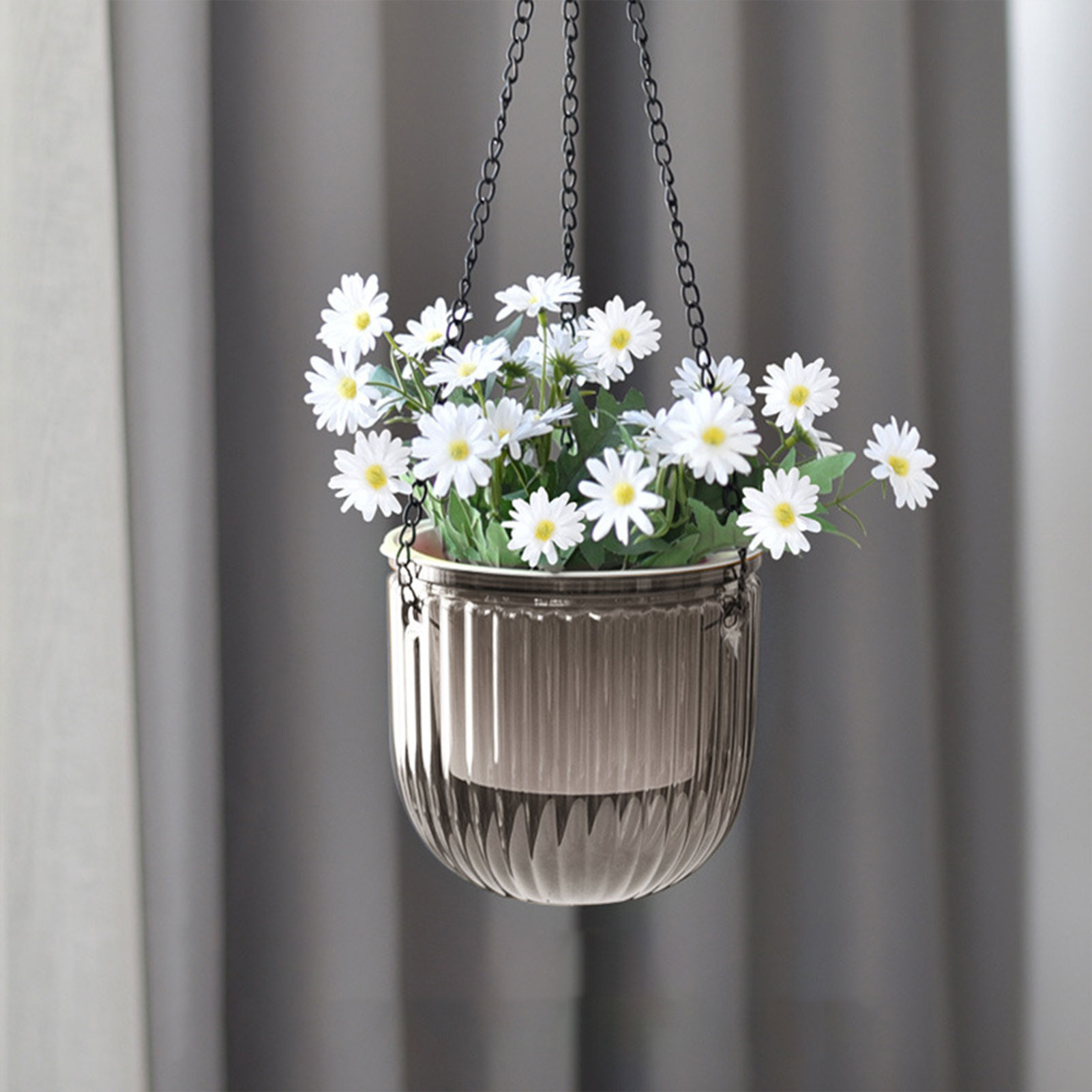 자동 급수 화분 투명한 걸이형 꽃바구니 포토스, 스파이 - Spider Plant Hanging 리뷰 및 가격