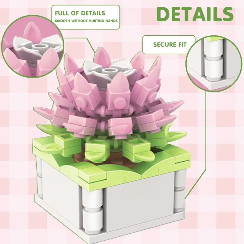 블록 시티 DIY 화분 식물 다육 식물 선인장 안개꽃  - Echeveria Succulent 리뷰 및 가격