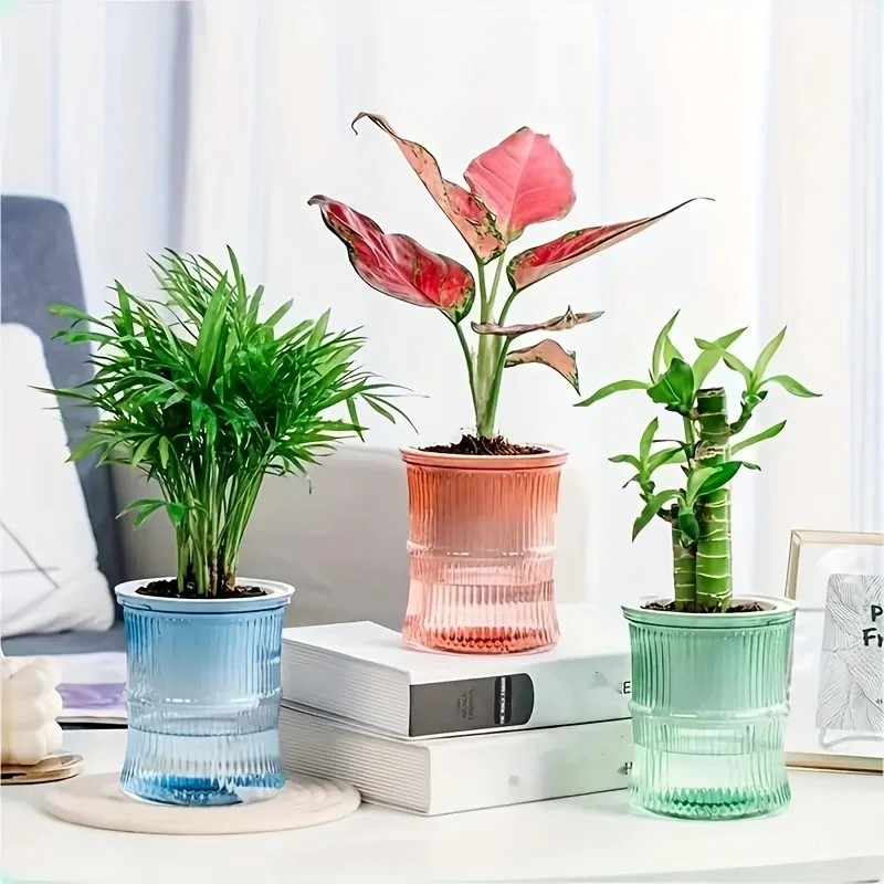 투명 이중 레이어 자동 급수 화분, 게으른 사람들을 위 - Aloe Vera Pot 리뷰 및 가격