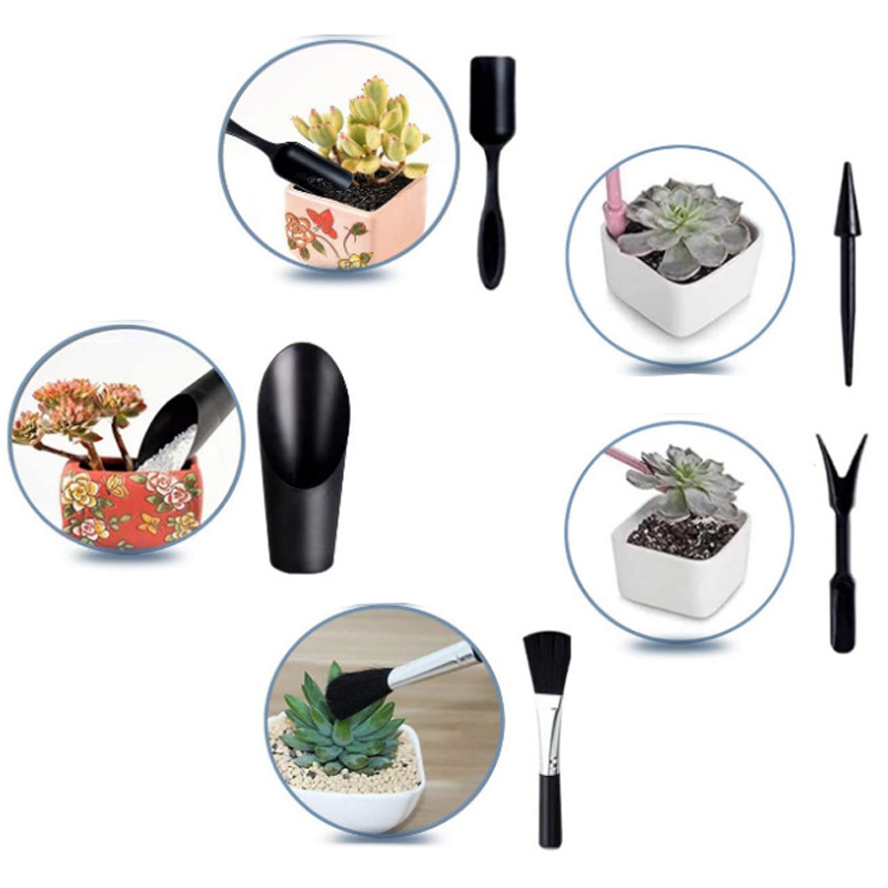 미니 원예 도구 세트 라벨 보드 플라스틱 정원 식물 가 - Echeveria Succulent 리뷰 및 가격